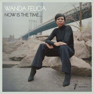 Wanda Felicia & Cold Diamond & Mink ~ Now is the Time (Vinyl) - Djungel & Jazz