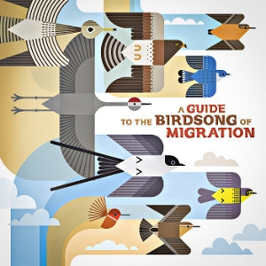 Various ~ A Guide To the Birdsong of Migration (Vinyl) - Djungel & Jazz