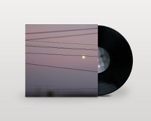 Michael Scott Dawson ~ Long Slow Distance (Vinyl) - Djungel & Jazz