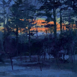 Animal Hospital – Shelf Life (LP)