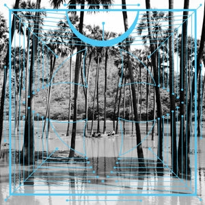 Four Tet ~ Pink (Vinyl) - Djungel & Jazz