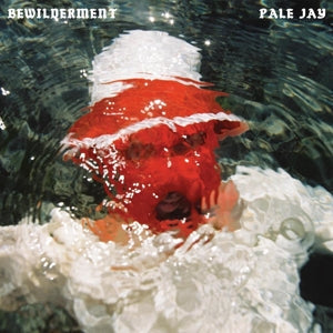 Pale Jay ~ Bewilderment (Vinyl) - Djungel & Jazz