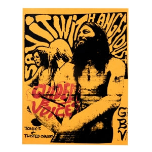 Guided By Voices ~ Tonics and Twisted Chasers (Vinyl) - Djungel & Jazz