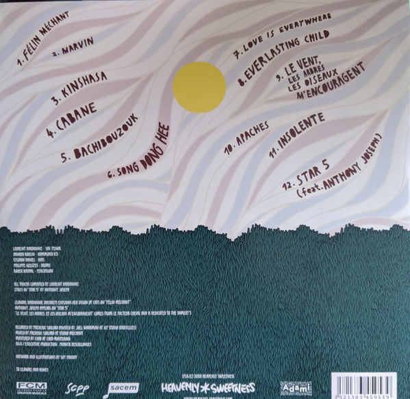 Laurent Bardainne & Tigre D'eau Douce : Love Is Everywhere (2xLP, Album)