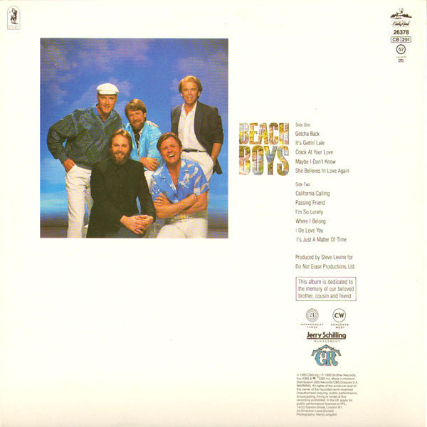 The Beach Boys : The Beach Boys (LP, Album)