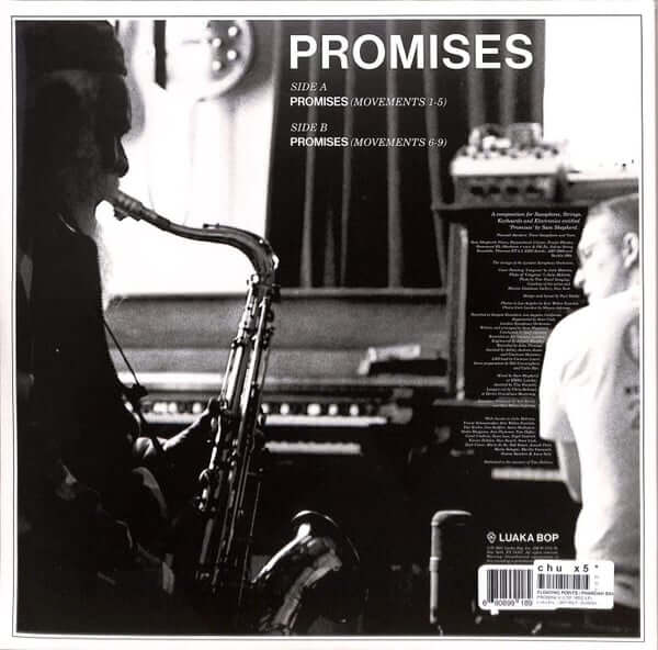 Floating Points, Pharoah Sanders & The London Symphony Orchestra ~ Promises (Vinyl) - Djungel & Jazz