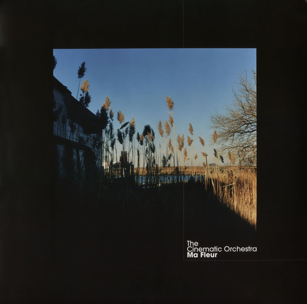 The Cinematic Orchestra : Ma Fleur (2xLP, Album, Ltd, RE, Cle)