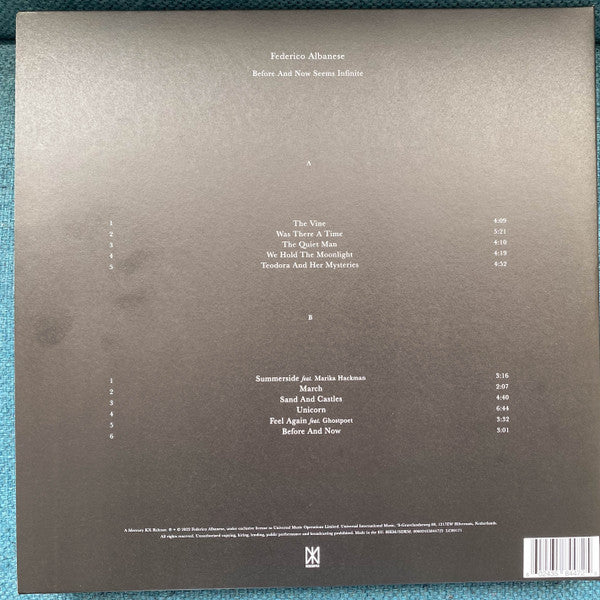 Federico Albanese : Before And Now Seems Infinite (LP, Album)