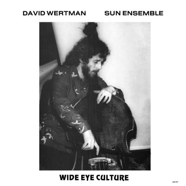 David Wertman, Sun Ensemble : Wide Eye Culture (3xLP, Album, Dlx, RE, RM)