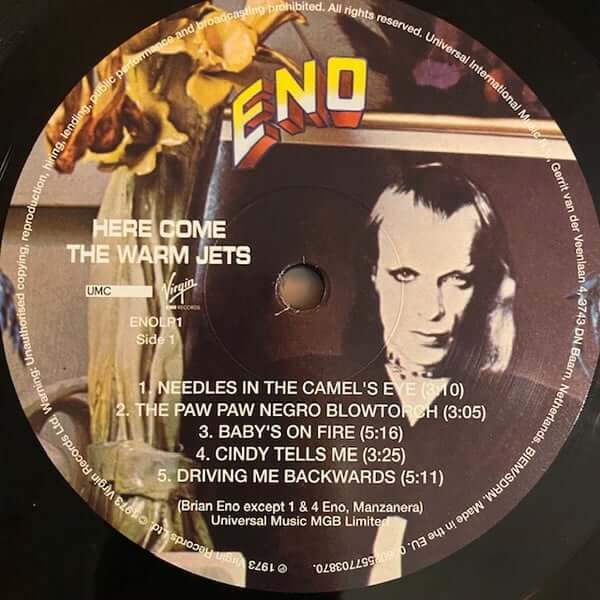 Eno ~ Here Come The Warm Jets (Vinyl) - Djungel & Jazz