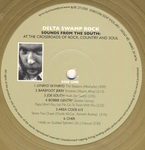 Various ~ Delta Swamp Rock (Sounds From The South: At The Crossroads Of Rock, Country And Soul) (Vinyl) - Djungel & Jazz