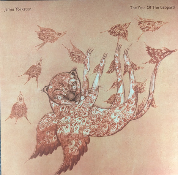 James Yorkston : The Year Of The Leopard (2xLP, Album)