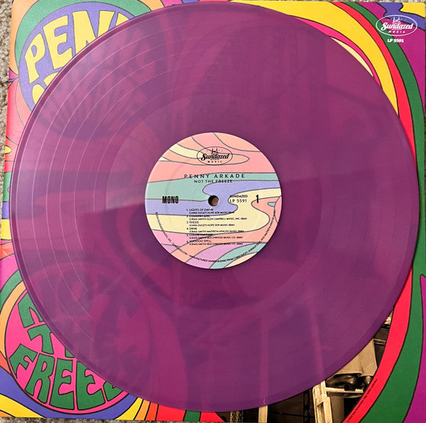 Penny Arkade ~ Not The Freeze (Vinyl) - Djungel & Jazz