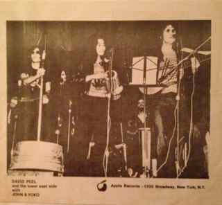 David Peel & The Apple Band : Bring Back The Beatles (LP, Album)