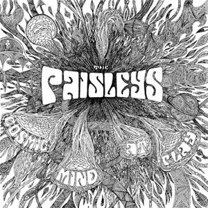 The Paisleys : Cosmic Mind At Play (LP, Album, RE)